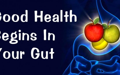 Modern diet destroys gut health and causes irreversible damage for generations