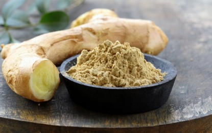 Research reveals: Ginger causes cancer cells to commit suicide