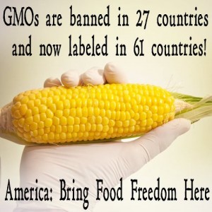 gmo-the-truth-about-the-science