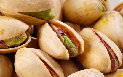 Pistachios: Discover 7 reasons to eat this delicious nut