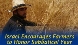 Israel Encourages Farmers to Honor Biblical Sabbatical Year