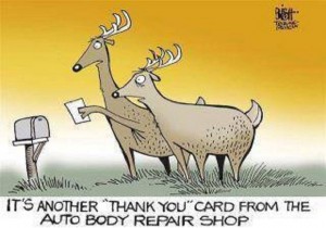 deer thank you