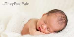 Dear Friends-Pain-Capable Unborn Child Protection Act