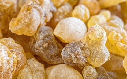 Studies Show the Health Benefits of Frankincense and Myrrh