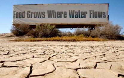 Californians Freak Out as Severe Water Restrictions and Rationing Are Forced on Them