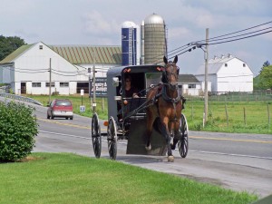The Amish Dont2