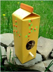 bird-feeders-for-kids
