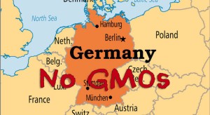Germany seeks ban on GMOs