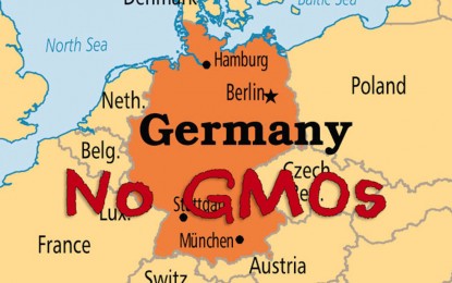 Germany seeks ban on GMOs to protect its citizens and environment