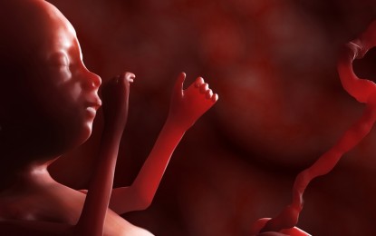 New Aborted Fetal Cell Line Emerges for Vaccine Production