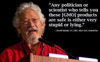 Meta-study on genetically modified food: Virtually all independent scientists are concerned