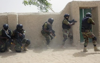 Multinational task force seizes town from Boko Haram