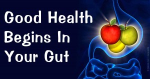 Modern diet destroys gut health