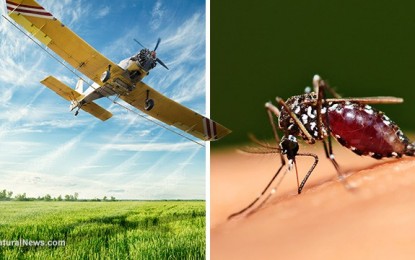 Government ignores the truth: Zika spraying is neurotoxic and ineffective