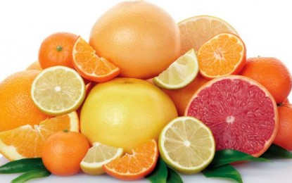 Eating citrus fruit can help prevent obesity-related diseases