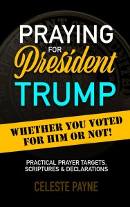 Book Urges us to Pray - Praying for President Trump