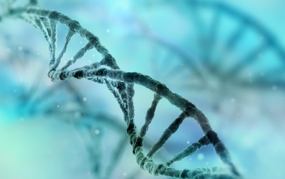 ‘Jumping genes’ further debunk evolution