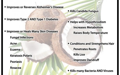 Big Pharma and Mainstream Media Attack Coconut Oil with Mis-information