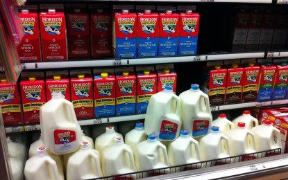 Organic milk deception: Millions of cartons contain unwanted factory-brewed oil