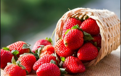 Strawberries contaminated with pesticides and grown with poisonous gases