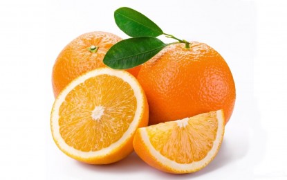 Vitamin C and antibiotic combination outperform anticancer drug by 100x