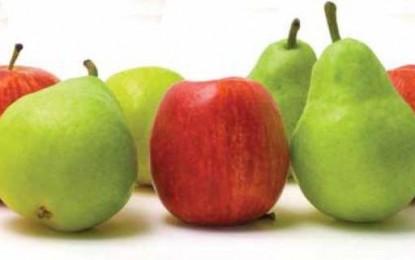 Apples and pears can slash your stroke risk by half