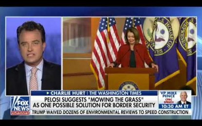 No Wall Needed! Pelosi Suggests ‘Mowing The Grass’ At Border