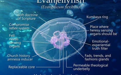 Are Christian Supporters of Israel “Evanjellyfish?”