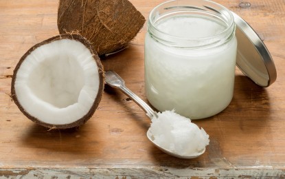 Coconut oil is “pure poison,” says Harvard professor