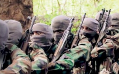 Al-Shabaab call Muslims to rejoice in “punishment” of Covid-19 infected non-Muslims, as virus survey highlights